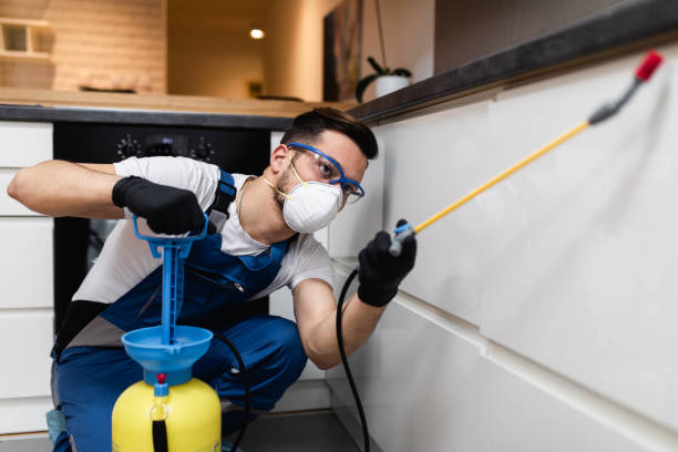 Best Rat Extermination Near Me  in Shoshone, ID