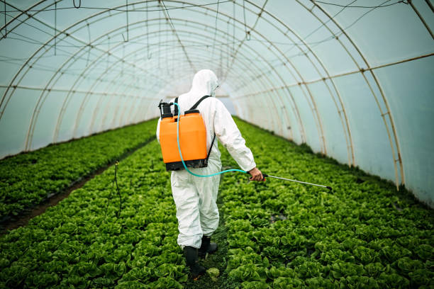 Reliable Shoshone, ID Pest Control Solutions