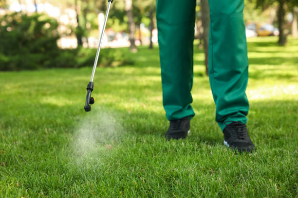 Best Residential Pest Control  in Shoshone, ID