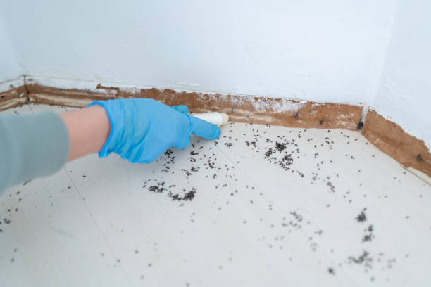Best Commercial Pest Control Services  in Shoshone, ID