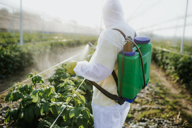 Best Best Pest Control Companies  in Shoshone, ID